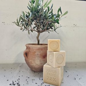 Savon de Marseille pour le linge, sans huile de palme, en étui