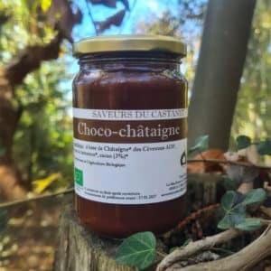 Choco-châtaigne AB 360g